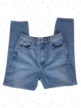 SLVRLAKE Beatnik High Rise Slim Fit Classic Medium Wash Denim Blue Jeans Size 31